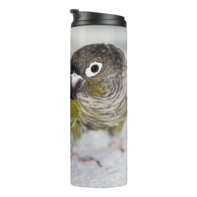 Burbel Thermal Tumbler (Rotated Right)