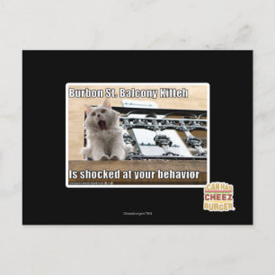 Burbon St. Balcony Kitteh Postcard