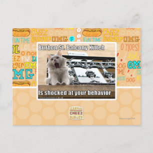 Burbon St. Balcony Kitteh Postcard