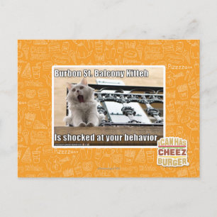 Burbon St. Balcony Kitteh Postcard