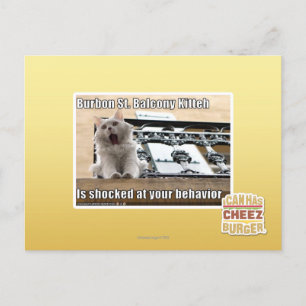 Burbon St. Balcony Kitteh Postcard