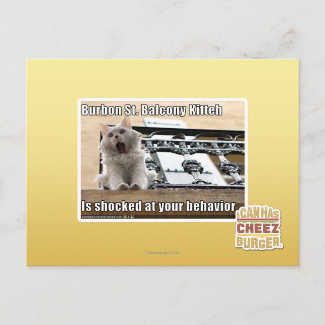 Burbon St. Balcony Kitteh Postcard (Front)
