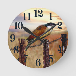 Burchell’s Coucal cuckoo bird Round Clock