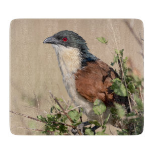 Burchell's Coucal Cutting Board