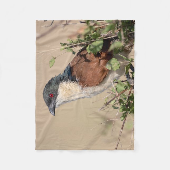 Burchell's Coucal Fleece Blanket (Front)