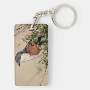 Burchell's Coucal Keychain