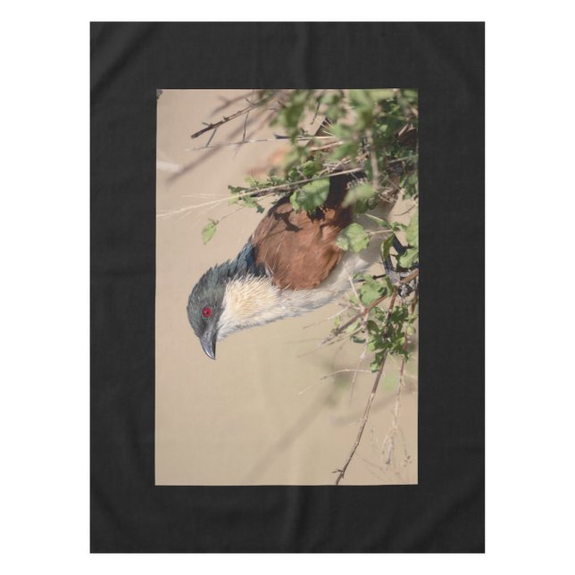 Burchell's Coucal Tablecloth (Front)
