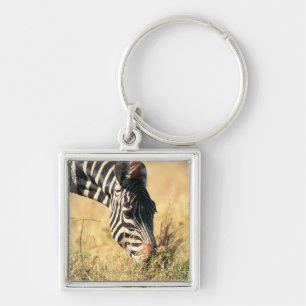 Burchell's zebra 2 keychain
