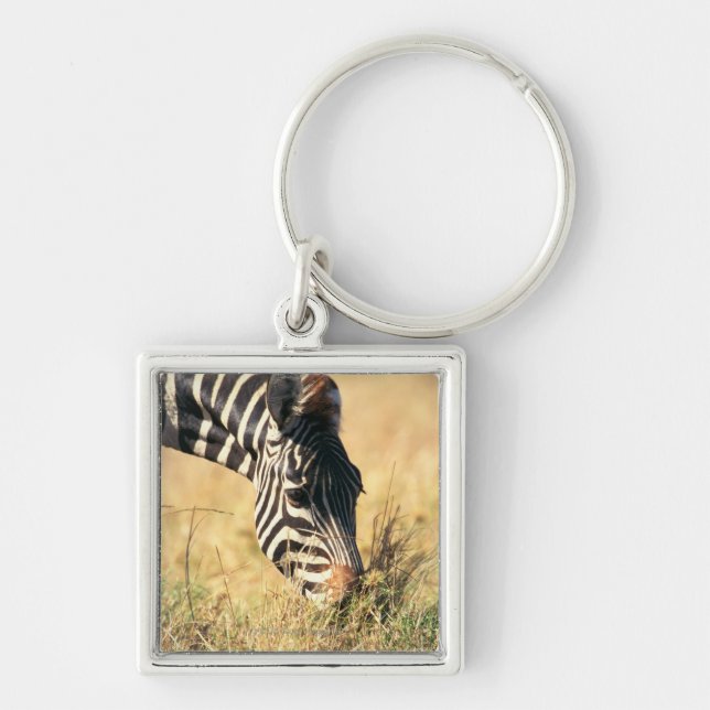 Burchell's zebra 2 keychain (Front)