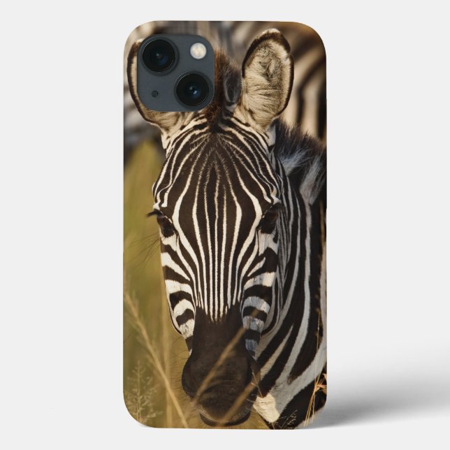 Burchell's Zebra in tall summer grass, Masai Case-Mate iPhone Case (Back)
