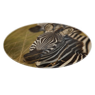 Burchell's Zebra in tall summer grass, Masai Cutting Board