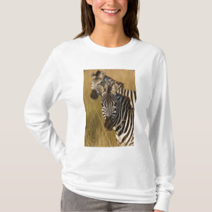 Burchell's Zebra in tall summer grass, Masai T-Shirt