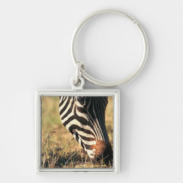 Burchell's zebra keychain (Front)