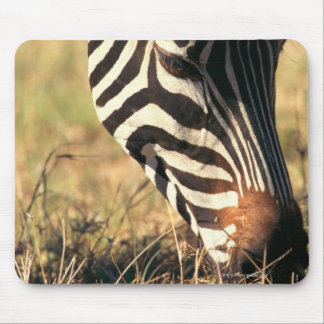 Burchell's zebra mouse pad