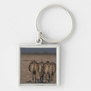 Burchell's Zebras Walking Keychain
