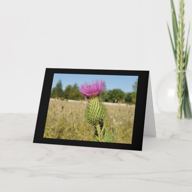 Burdock Thistle greeting card (Front)