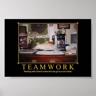 Bureau de travail d'équipe Poster Kitty Mini