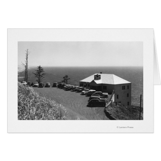 Bureau principal des grottes de lions de la mer de (Devant horizontal)