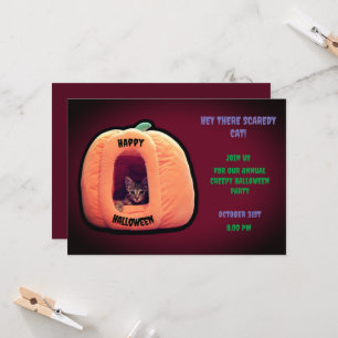 Burgundy and Orange Pumpkin  Spooky kitten Invitation