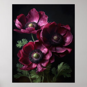 Burgundy Anemone Flowers Art Print Poster