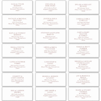 Burgundy Boho Wedding Guest Address Labels
