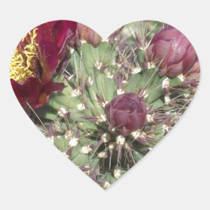 Burgundy Cactus Flowers Heart Sticker