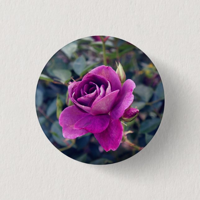 Burgundy Iceberg Rose #2 Button (Front)