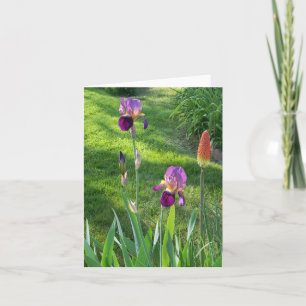 Burgundy Iris... Card