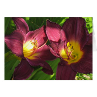 burgundy lilies