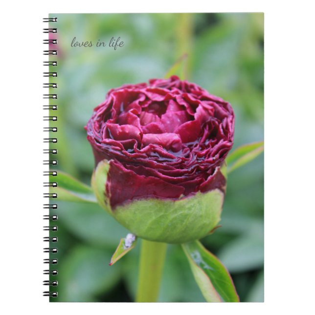 Burgundy Peony Bud Notebook (Front)