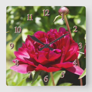 Burgundy peony square wall clock