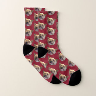 Burgundy Personalized Pet Photo Christmas Present Socks