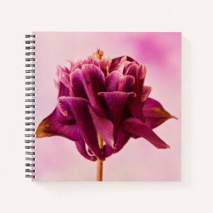 Burgundy Pink Columbine Notebook