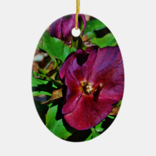 Burgundy Pink Lenten Rose Ceramic Ornament