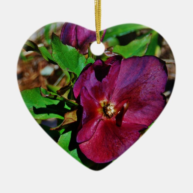 Burgundy Pink Lenten Rose Ceramic Ornament (Front)