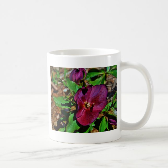 Burgundy Pink Lenten Rose Coffee Mug (Right)
