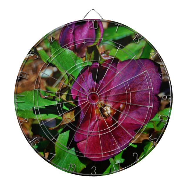 Burgundy Pink Lenten Rose Dartboard (Front)