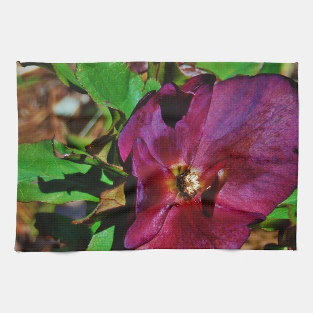 Burgundy Pink Lenten Rose Kitchen Towel (Horizontal)