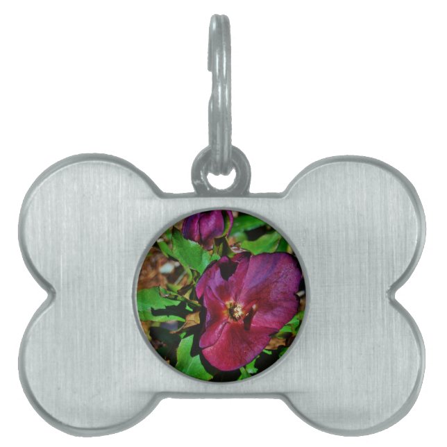 Burgundy Pink Lenten Rose Pet Tag (Front)