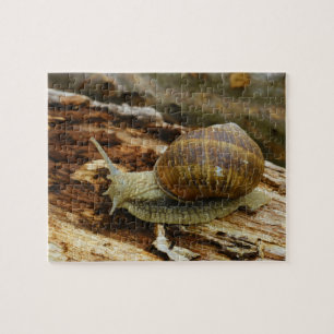 Burgundy Roman Edible Snail Helix Pomatia Jigsaw Puzzle