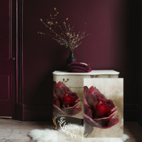 Burgundy Rose, & Beige, Close Up Flower