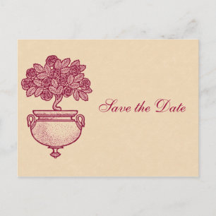 Burgundy Rosebush on Cream Save the Date Postcard