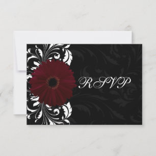Burgundy Scroll Gerbera Daisy avec noir RSVP