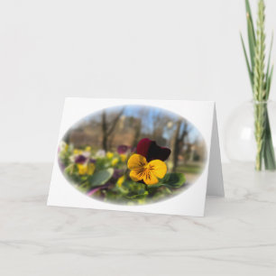 Burgundy yellow pansy card