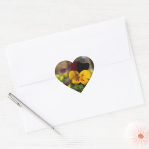 Burgundy yellow pansy heart sticker