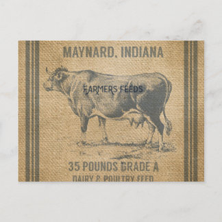 burlap cow feed sack postcard