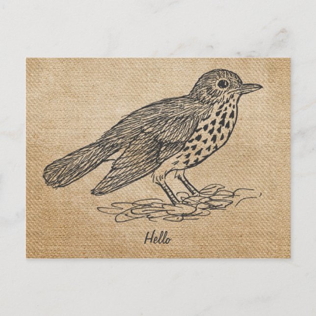 Burlap Rustic Hello Little bird Postcard (Front)