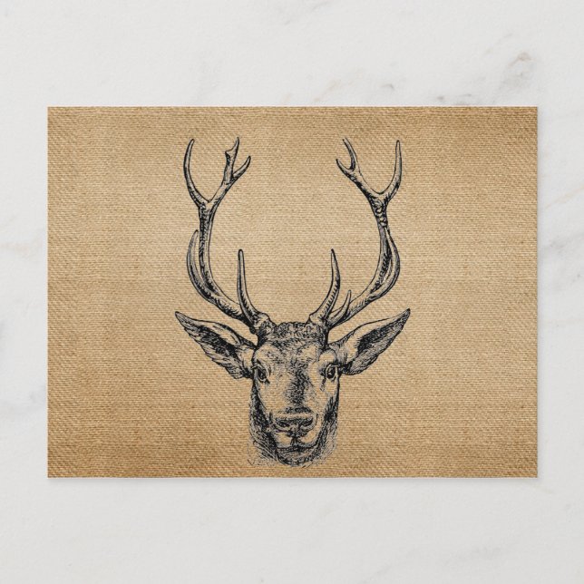 Burlap Vintage Deer Head Hunting Postcard (Front)