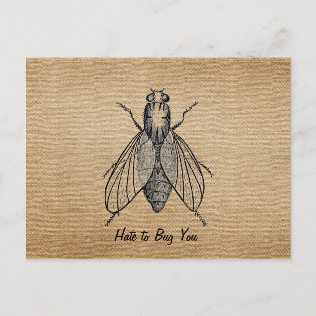 Burlap Vintage Hate to Bug You Fly Postcard (Front)