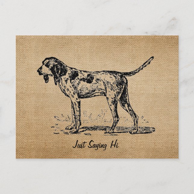 Burlap Vintage Hello Bird Dog Hunting Postcard (Front)